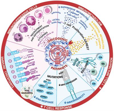 Further knowledge and developments in resistance mechanisms to immune checkpoint inhibitors